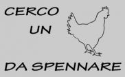 OPS HO TROVATO TE!
