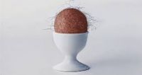 COGLIONE