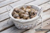 Hai piu' corna di un cesto di lumache vero?