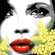  <B><i><p style="color:#FF0000">❤MIMOSE PER ME</p></i></B>